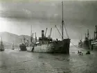 Lastångfartyget EDA av Stockholm i La Gueras hamn, Venezuela, år 1926.