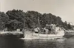 Öltransport-motorfartyget LÄSKAREN av Stockholm vid Sandhamn 1955.