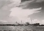 Turboelektriska tankfartyget ESSO WORCESTER av Wilmington, USA, på väg ut mot Kanholmsfjärden, 1953.
