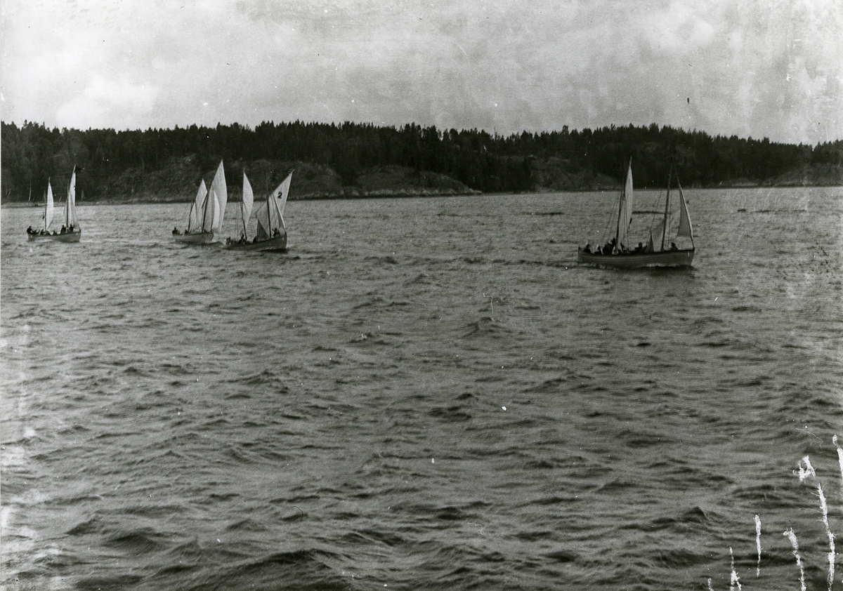 Kappsegling mellan örlogsmän.