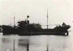 S/S MAUD 1948.
