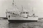M/S NUEVA ESPARTA, leveranstur 1946 utanför Sölvesborg.
