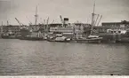 M/S ECUADOR i Buenos Aires' hamn lastas från pråmar 1943.
