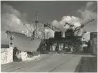 Lossning av M/S Venezuela i Göteborgs hamn 1945.