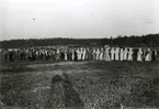 Sjöslåtter i Ängersjöby, Västerbotten. Foto år 1898.
