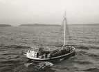 M/S BARBRO av Hamburgsund på Vänern 1962.