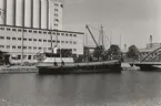 Lastfartyget BO-HUGO av Göteborg i Lidköpings hamn 1958.