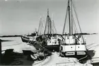 Kållandsö, Trelle.
Seus II, Vänervik, Thellef, Agneta och Eken liggande i hamnen den 14 mars 1963.
