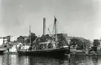 3 - Mast - slätskonaren Grazia av Torsö i Lidköpings hamn 1958.