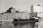 KARL GÖRAN av Ånimskog i Lidköping 1958.