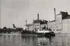 KARL GÖRAN av Ånimskog i Lidköping 1958.