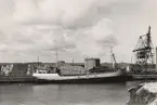 KUSTVÅG av Skärhamn i Helsingborg 1962.