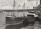 SIGURD av Lidköping i Stockholms frihamn 1952.