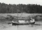 TOMAS av Kållandsö på Göta Älv 1961.