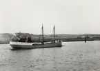 TRELLEVIK av Kållandsö i Göteborg 1954
