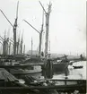 Lossande ålandsskutor vid Strandvägskajen 1936.