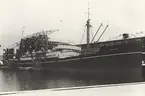 Lastmotorfartyget GEISHA av Haugesund i Frihamnen, Stockholm, år 1935.