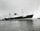 M/S ABELONE VENDILA