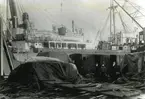 Sv. Ostas. Komp:s m/s Siam lastar tackjärn i Göteborg, 1922.