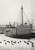 Lastmotorfartyget ENGELBREKT av Västerås vid Klara Strand i Stockholm, 1952.