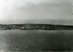 Ursviks hamn vid Skellefteå omkr. 1900.