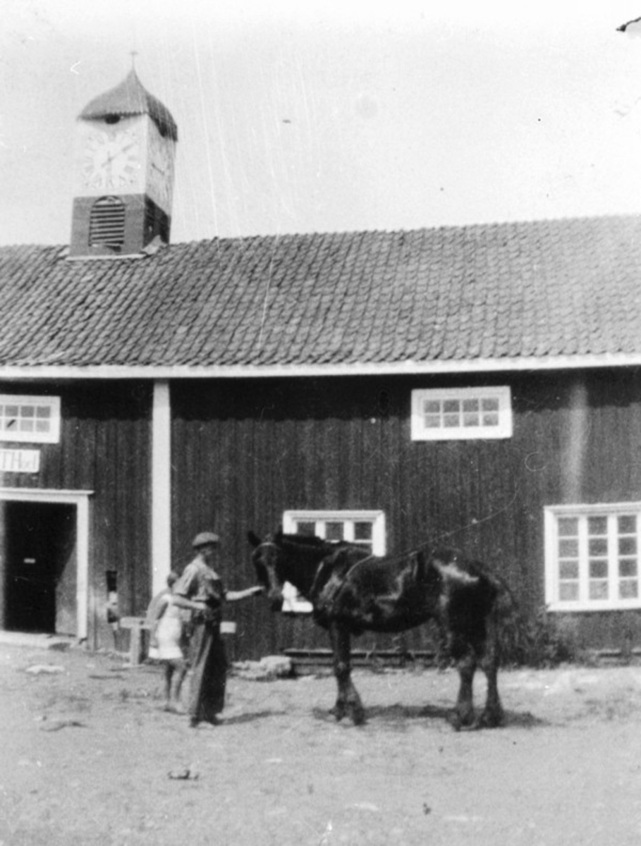 Mann med hest foran det gamle stabburet på Hovinsholm gård, Helgøya.