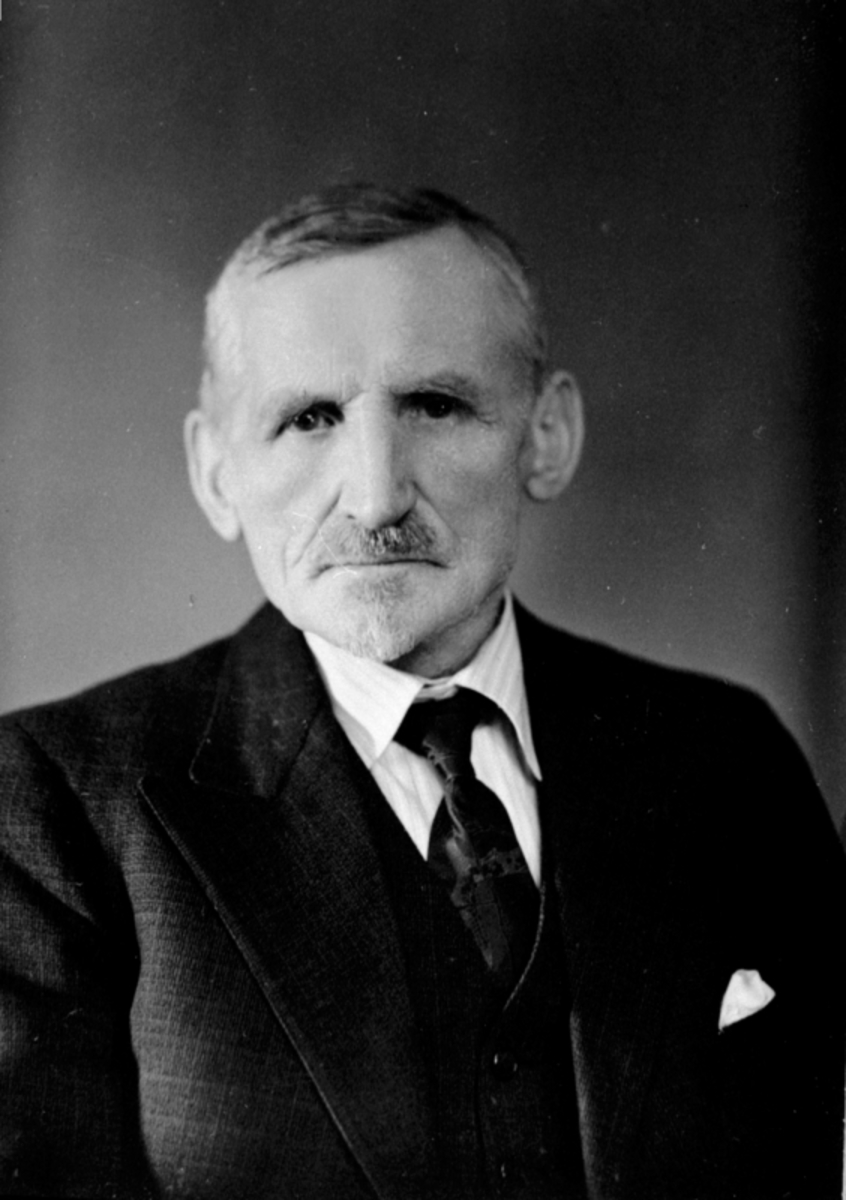 Portrett, gardbruker Johan Hjelmstad, Ringsaker.