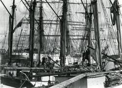 Vedskutor vid Strandvägen, Stockholm. I bakgrunden det polsk