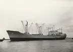 M/S HÖEGH AILETTE. Fotot taget den 25.5.1960.