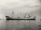 M/S HÖEGH AILETTE. Fotot taget den 30.6.1959.