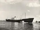 M/S MARTHA BAKKE. Fotot taget 1960.