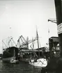 Frihamnen i Stockholm, år 1940.