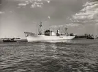 M/S NOREFJORD. Fotot taget i Köpenhamn den 21.6.1960.