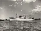 M/S NOREFJORD. Fotot taget i Köpenhamn den 21.6.1960.