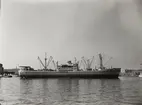 M/S TOPDALSFJORD. Fotot taget i Köpenhamn den 22.3.1960.
