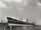 M/S THEMIS. Foto taget den 6.4.1960.