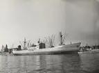 M/S TOPDALSFJORD. Fotot taget i Köpenhamn 1962