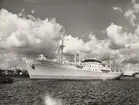 M/S RANENFJORD. Foto från Köpenhamn den 27.8.1962.