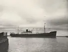 M/S MARTIN BAKKE. Foto från Köpenhamn mars månad 1962.