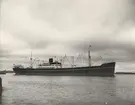 M/S MARTIN BAKKE. Foto från Köpenhamn mars månad 1962.