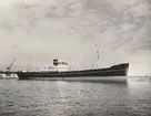 M/S MARGRETHE BAKKE. Foto från Köpenhamn mars månad 1962.