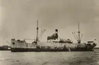 Lastångfartyget TABERG av Göteborg. Fartyget torpederat väst om Gibraltar den 6 juni 1941. Av besättningen, 21 man, omkom 15 man.