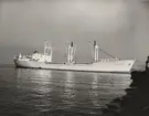 M/S HÖEGH BISCAY. Foto från Köpenhamn april 1962.