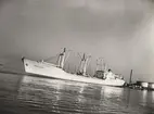 M/S HÖEGH BISCAY. Foto från Köpenhamn april 1962.