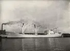 M/S HÖEGH AURORE. Foto från Köpenhamn 1961.