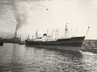 M/S KRISTIN BAKKE. Foto från Köpenhamn 1955.