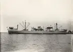 M/S KONGSFJORD. Foto från Köpenhamn 1956.