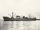 M/S KONGSFJORD. Foto från Köpenhamn 1956.
