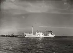 M/S BRATTLAND. Foto från Köpenhamn 1956.