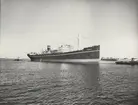 M/S TEMPLAR. Foto från Köpenhamn den 10.4.1956.